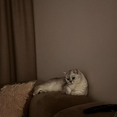 Купить качественную бескаркасную мягкую мебель недорого. Отзыв о качестве материалов с фото. 5 звезд.